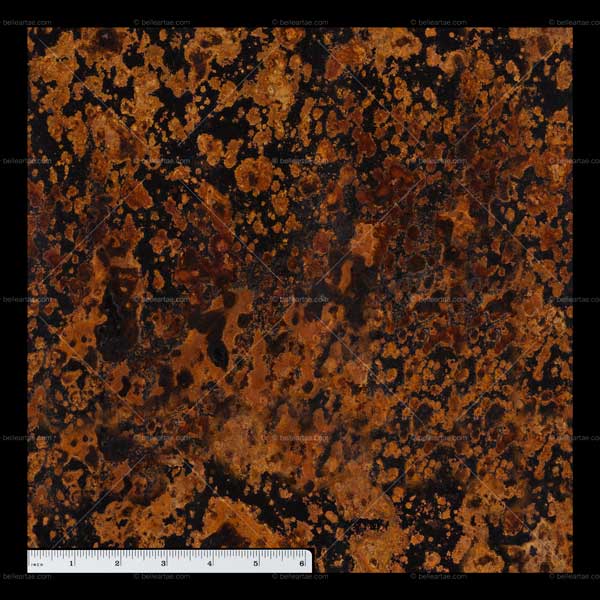 mottled-copper-cc.jpg